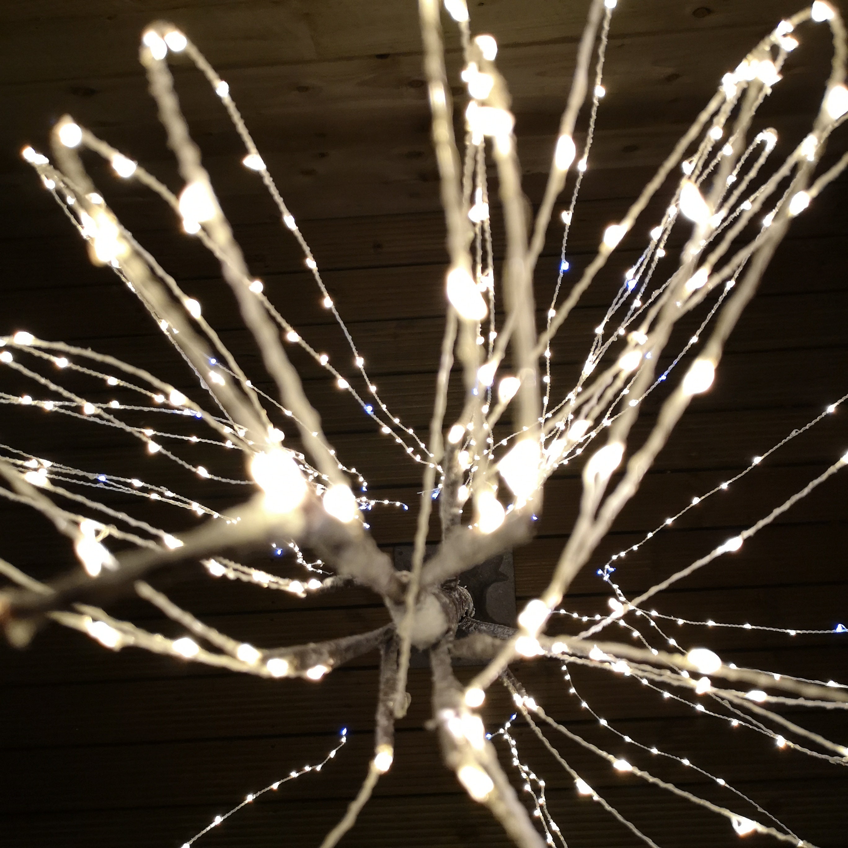 180cm Brown Flocked Willow Tree 600 LED Warm White Garden Christmas Decoration