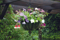 Tom Chambers Black Metal Spanish Garden Flower Wall Hanging Basket Large 35cm 14 inch - Without Bracket