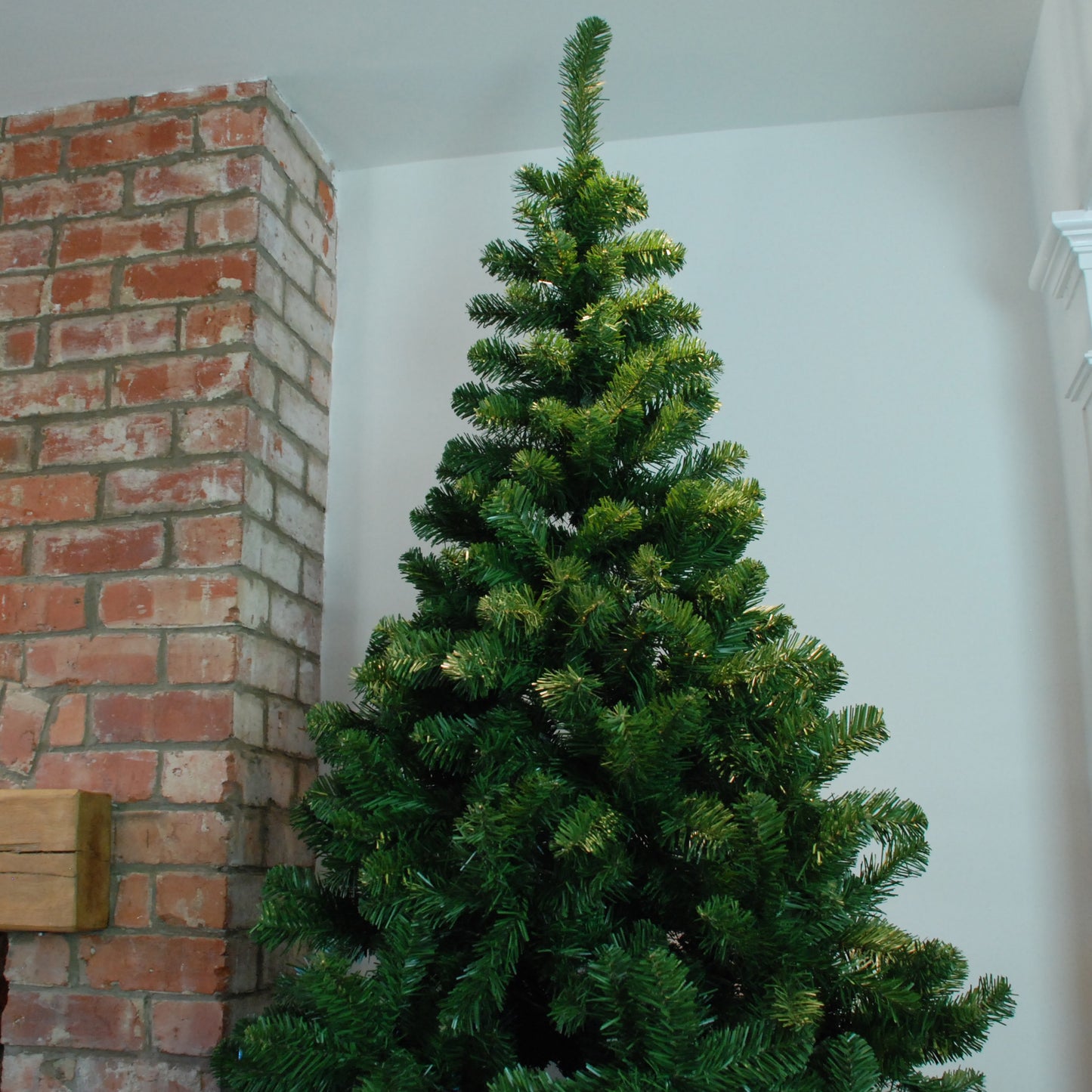 8ft (240cm) Samuel Alexander Luxury Green Christmas Tree 980 Tips 145cm Wide