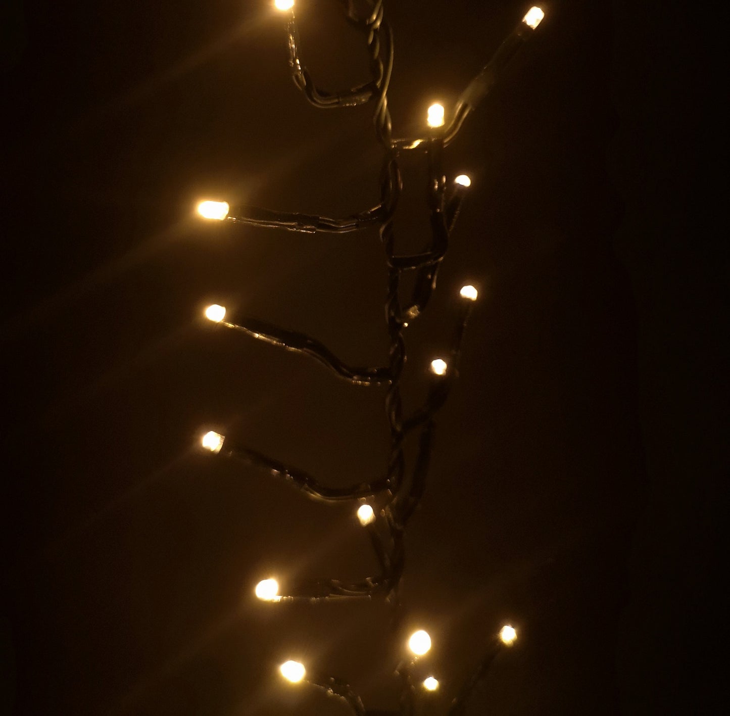 480 LED 6.2m Premier Clusterbrights Indoor Outdoor Multifunction Mains Operated Christmas Cluster Lights with Timer in Vintage Gold