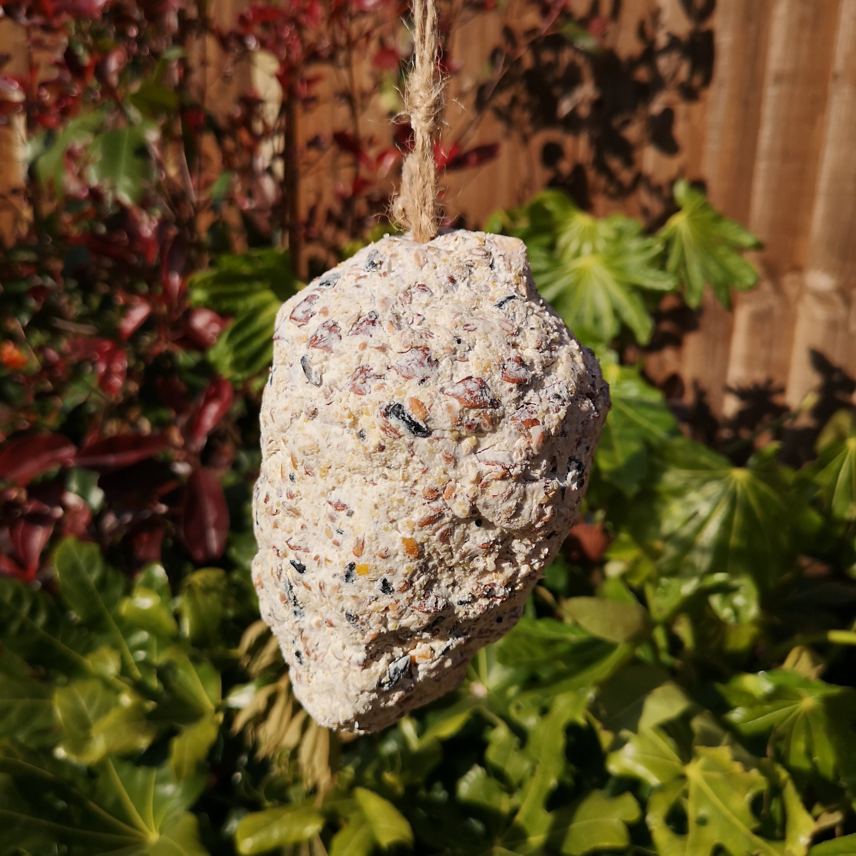 Tom Chambers Wild Garden Bird Suet Pinecone Containing Suet and Seeds with Hanging String