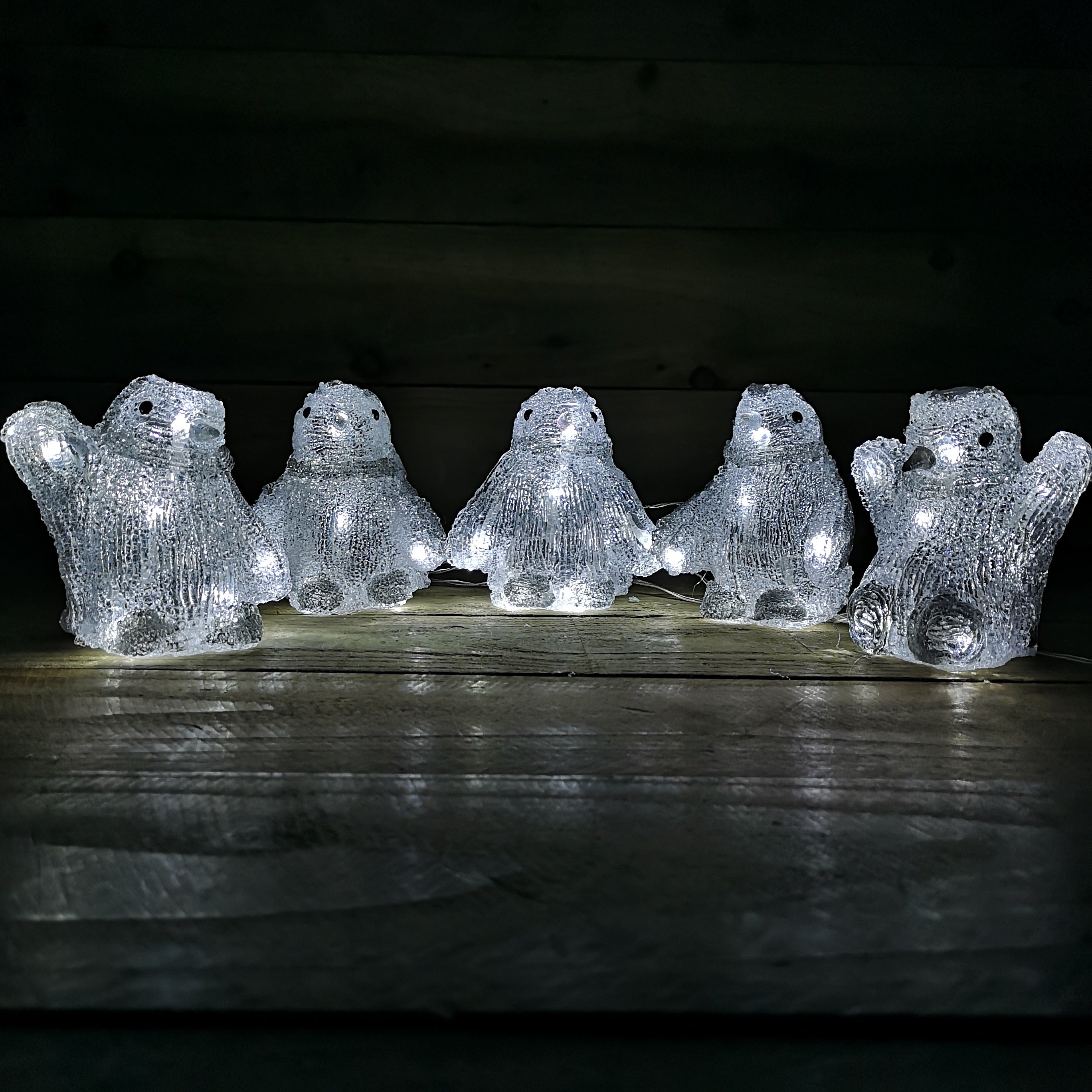 Set of 5 13cm Outdoor /Indoor Acrylic Lit Christmas Penguins with 40 Ice White LEDs