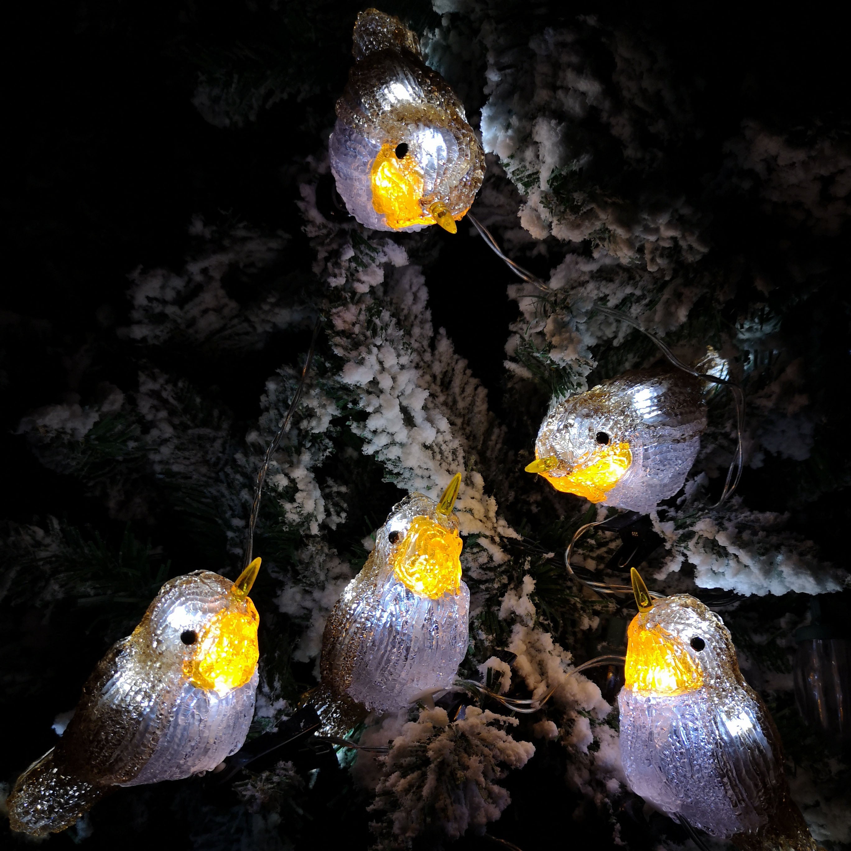 5 Acrylic Indoor Outdoor Robin Christmas Lights with 30 Ice White LEDs