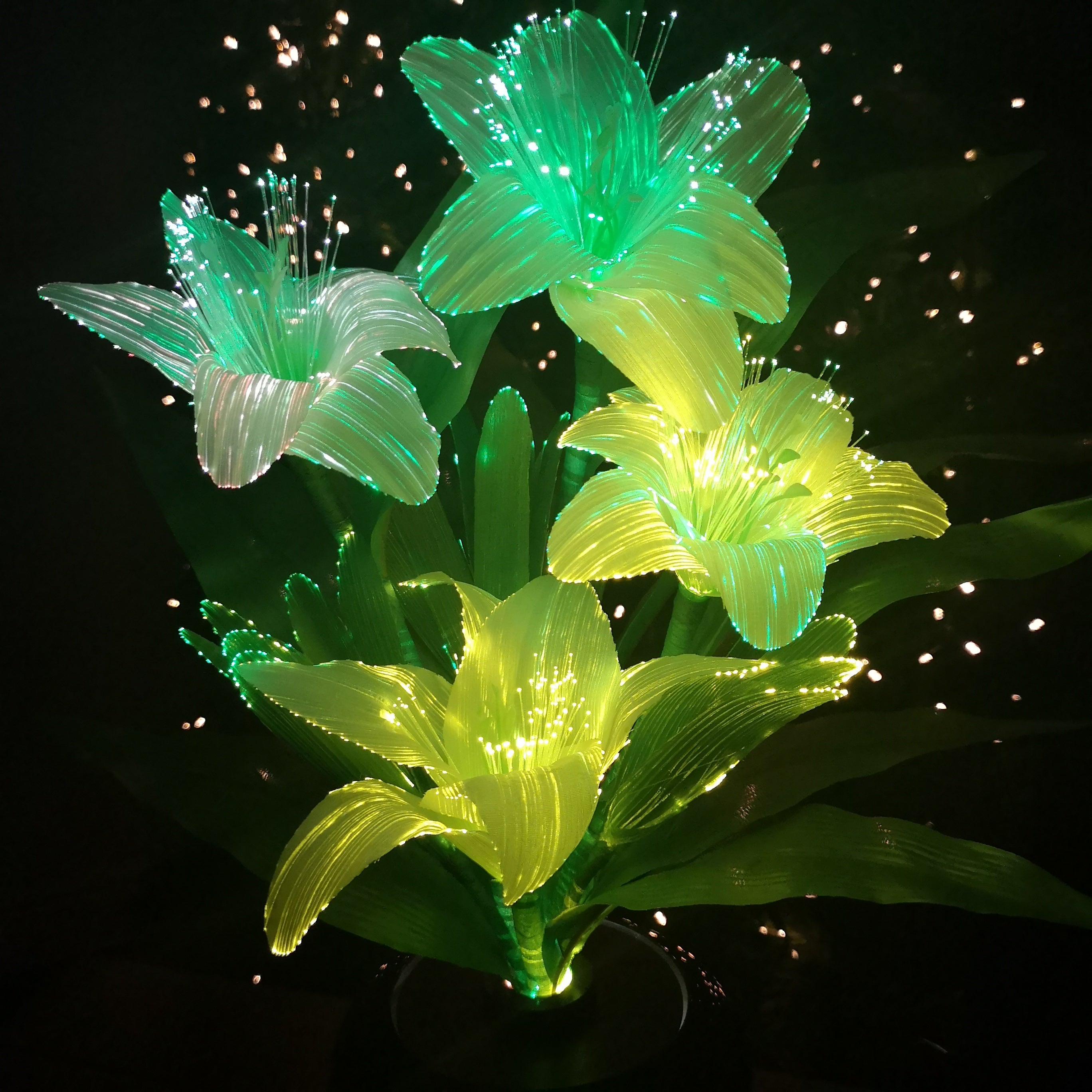 50cm High Fibre Optic White Lilies with Colour Changing Flowers