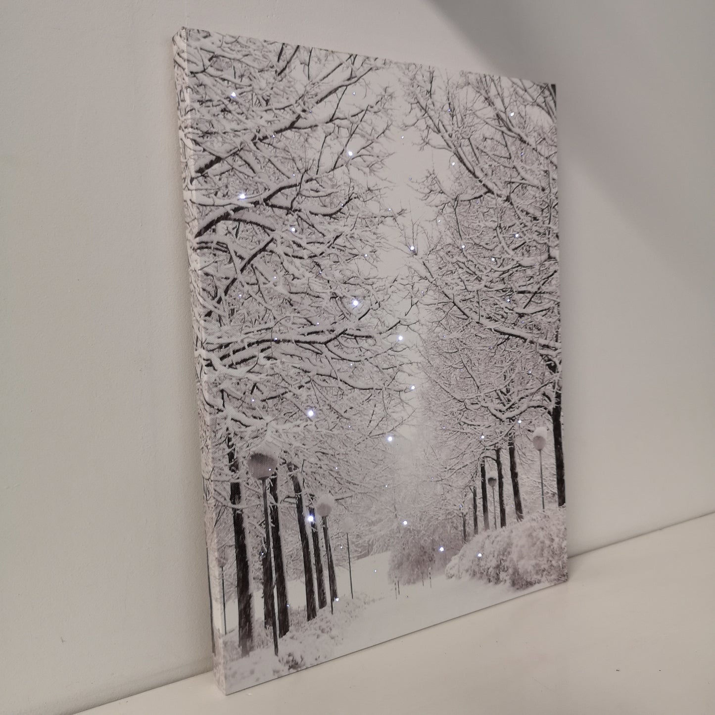 40 x 30cm Touch Operated Christmas Winter Avenue Fibre Optic Light Up Wall Canvas