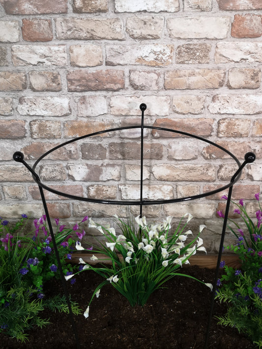 Tom Chambers Cottage Heavy Duty Black Metal Steel Herbaceous Garden Plant Support Ring Large 80cm x 45cm